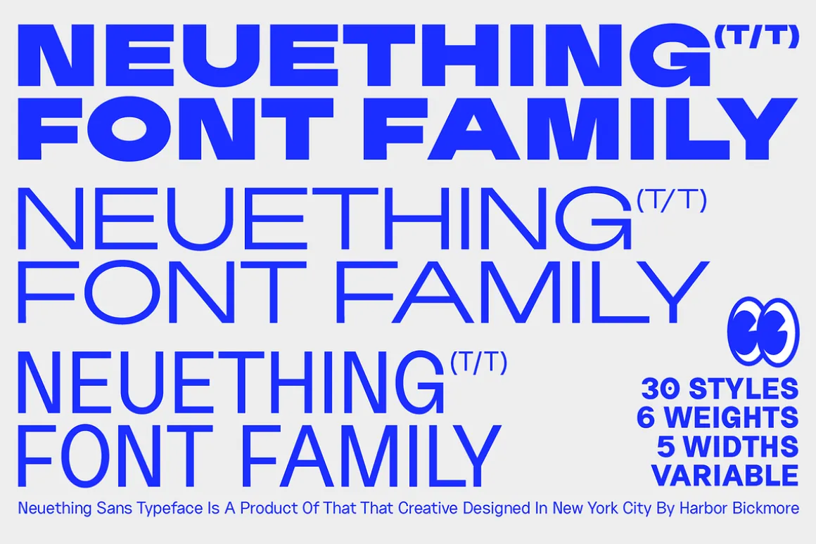Neuething Sans Family: 30 Fonts