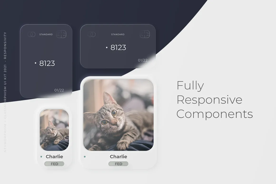 Neumorphism + Glassmorphism UI Kit