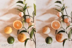 15 Neutral Lightroom Presets