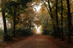 100+ New Hi-Res Autumn Photos
