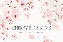 New! Spring Edition