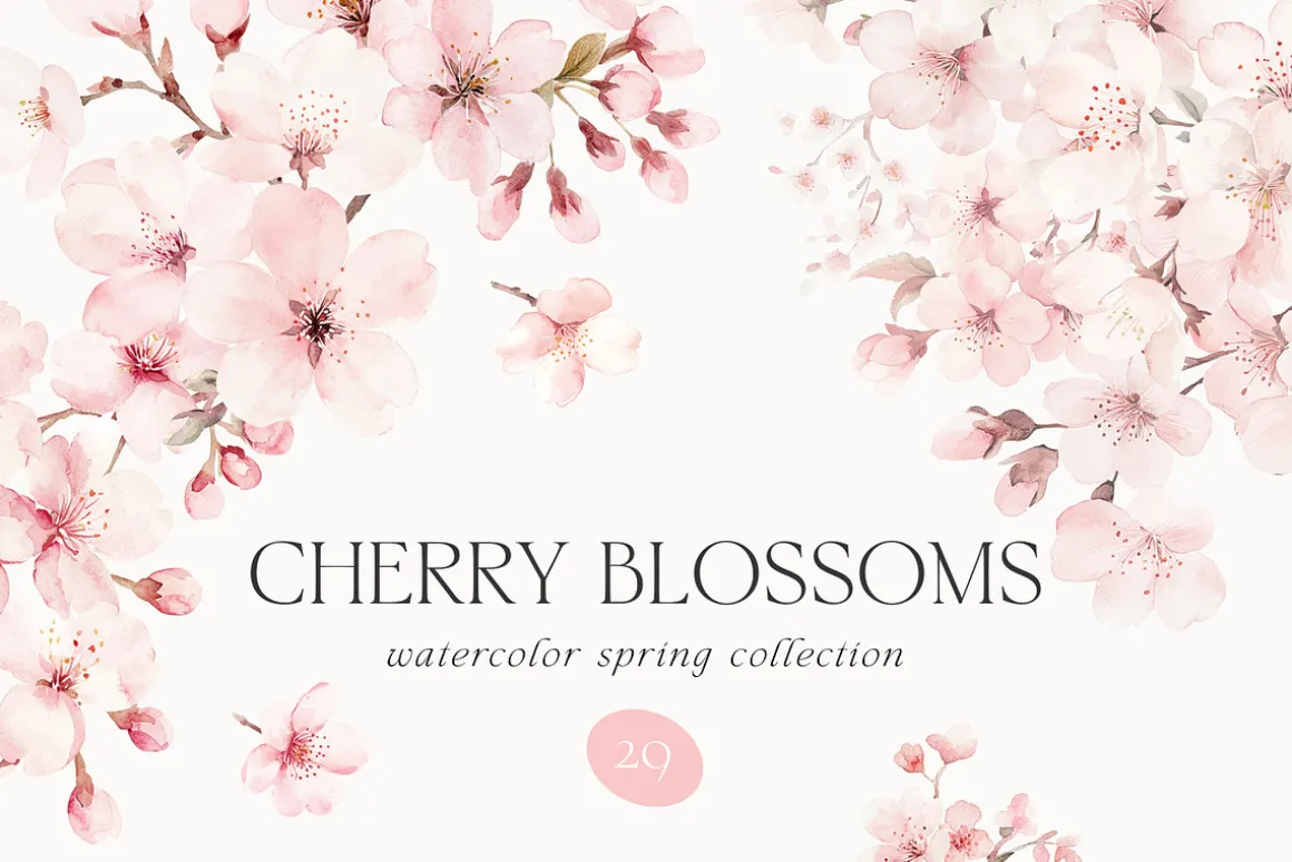 New! Spring Edition