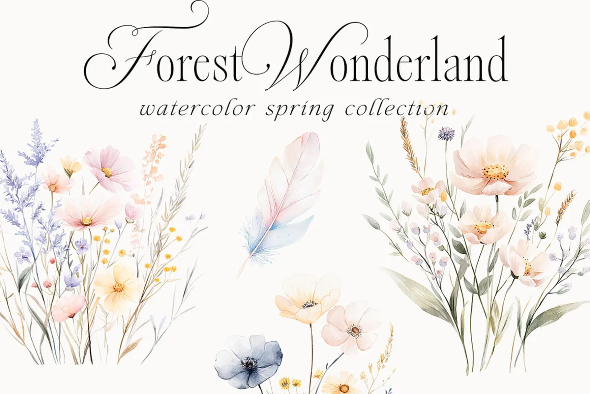 New! Spring Edition