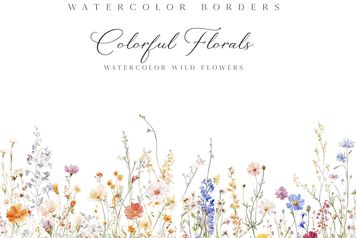 New! Spring Edition
