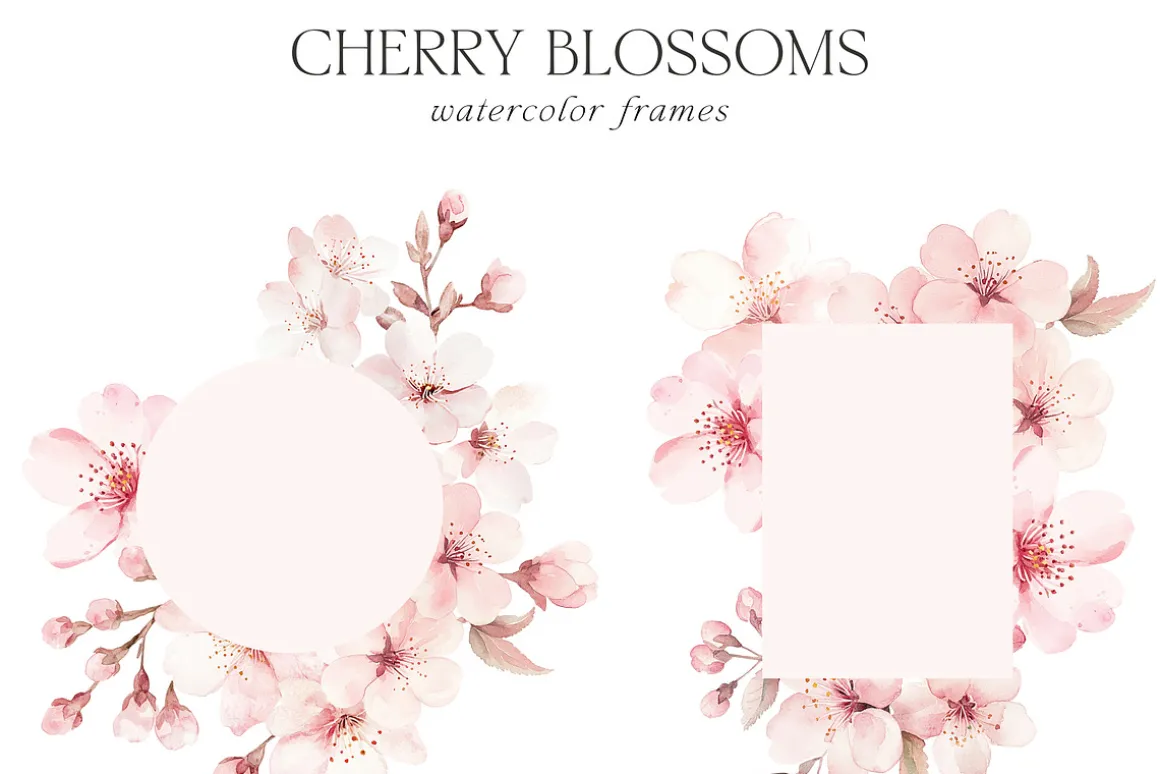 New! Spring Edition
