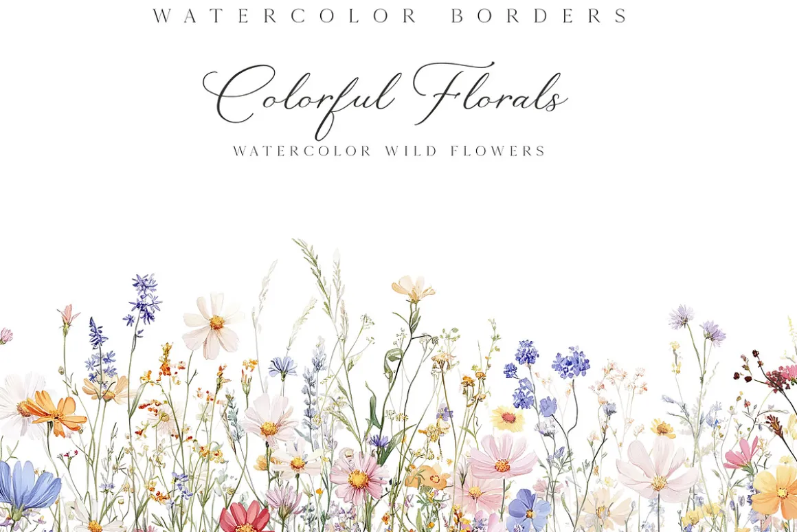 New! Spring Edition