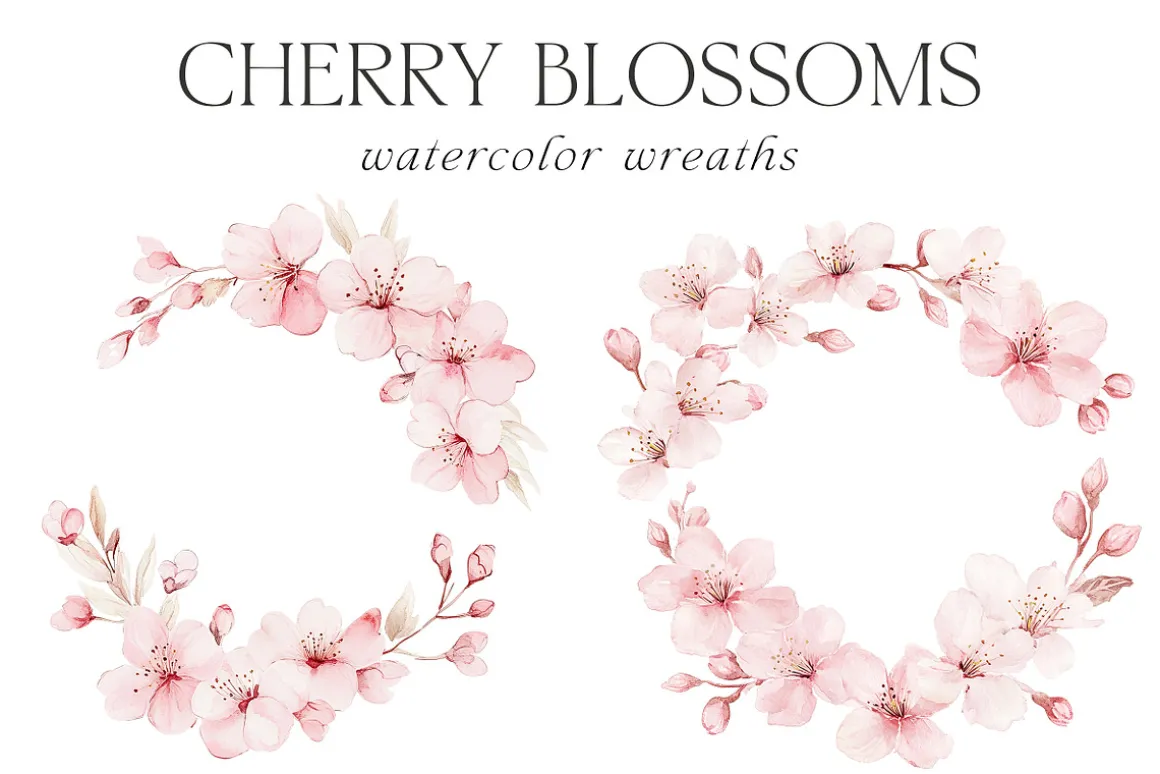 New! Spring Edition