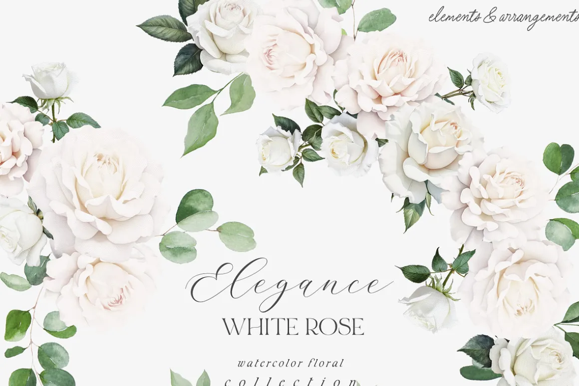 New! Spring Edition