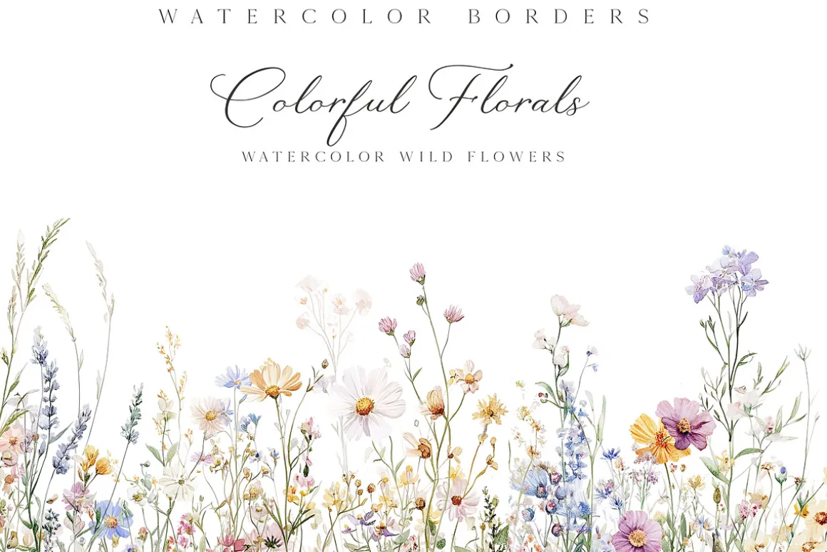 New! Spring Edition