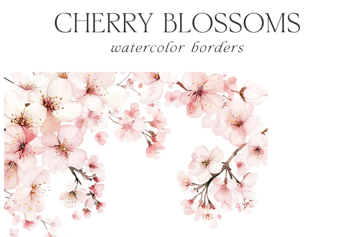 New! Spring Edition
