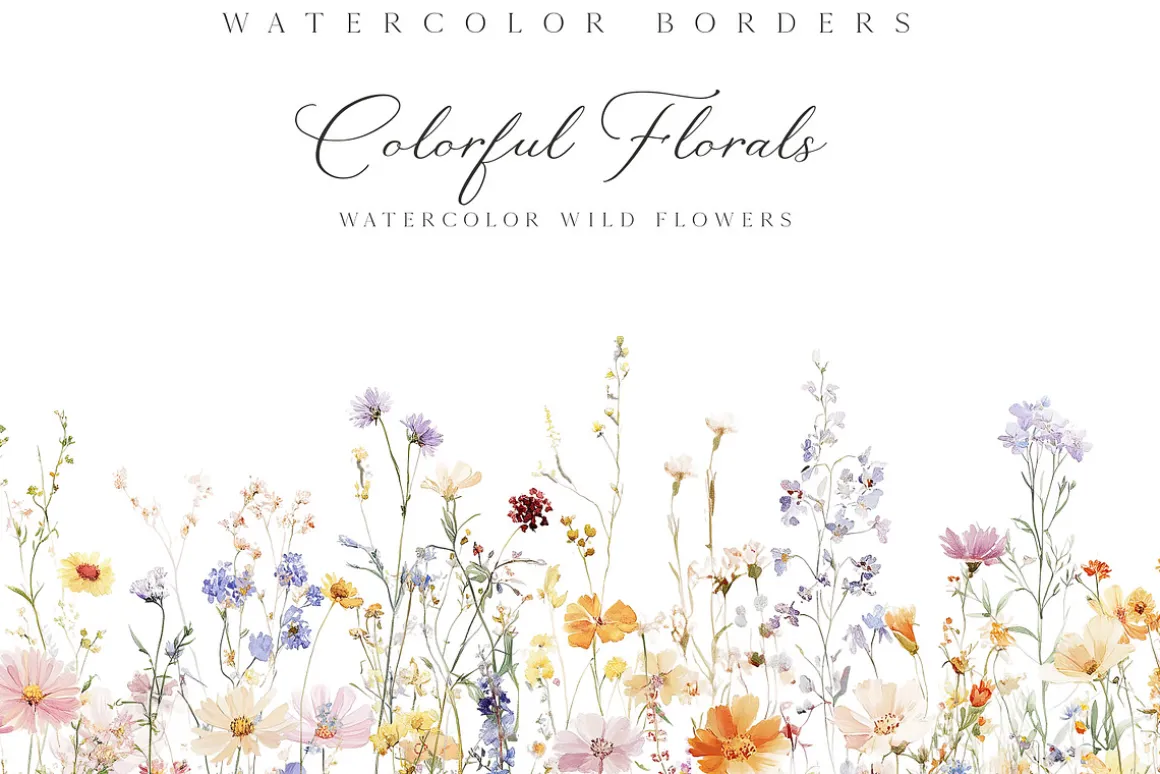 New! Spring Edition