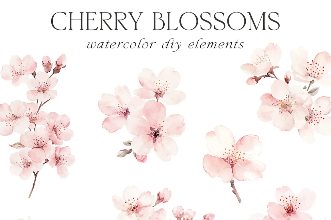 New! Spring Edition