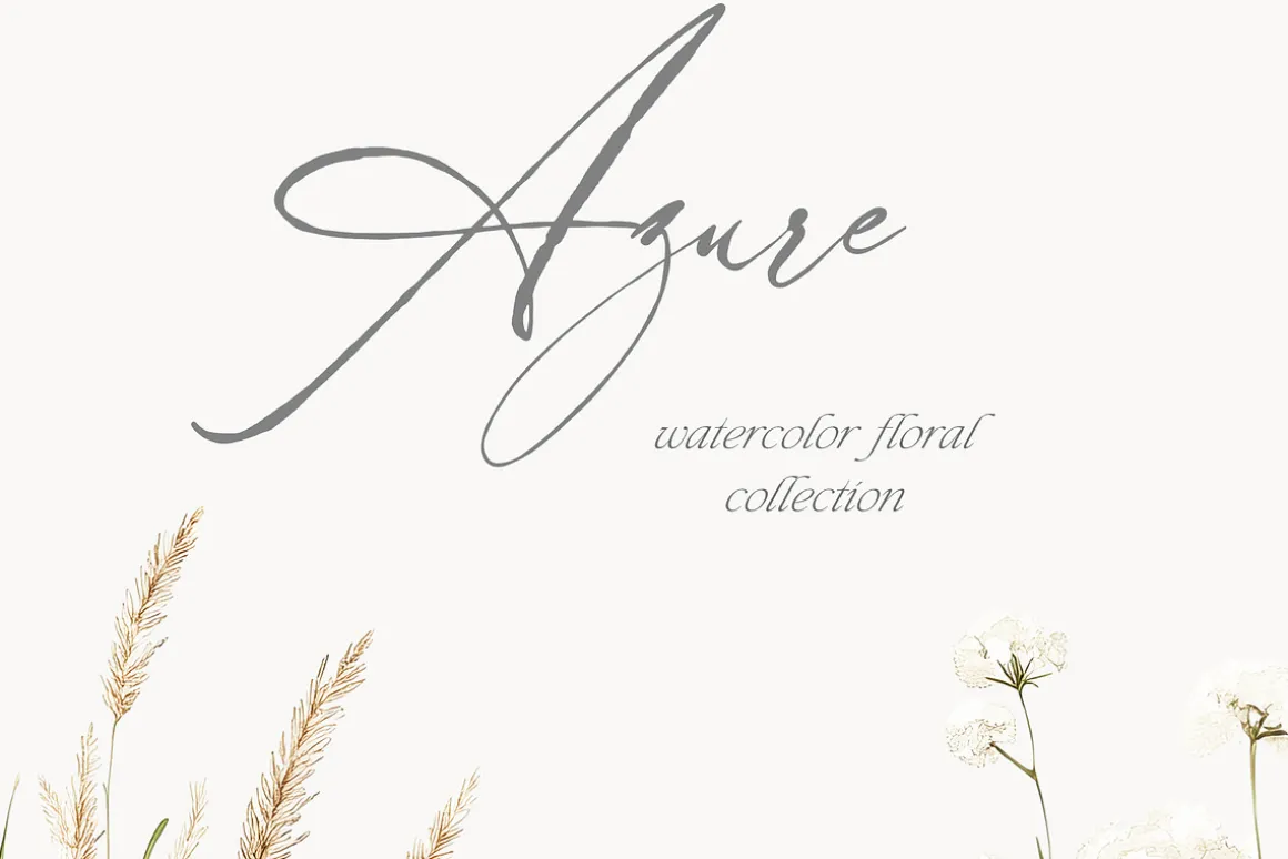 New! Spring Edition