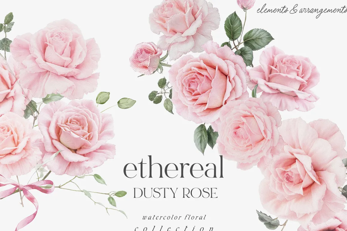 New! Spring Edition