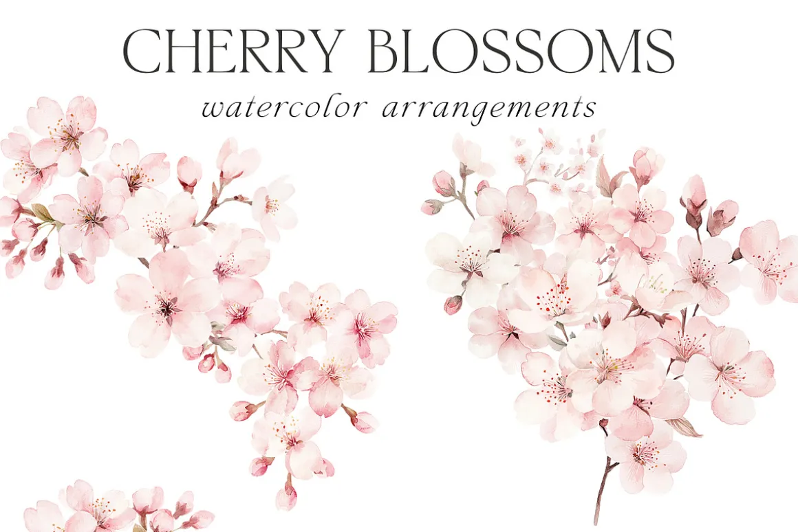 New! Spring Edition