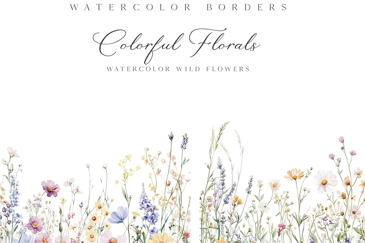 New! Spring Edition