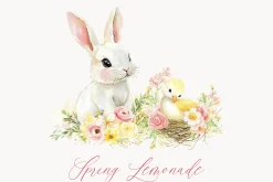 New! Spring Edition
