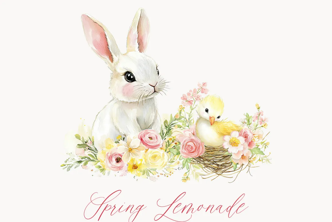 New! Spring Edition