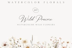 New! Spring Edition