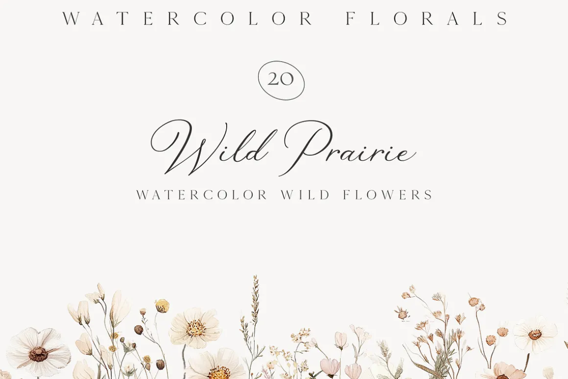 New! Spring Edition