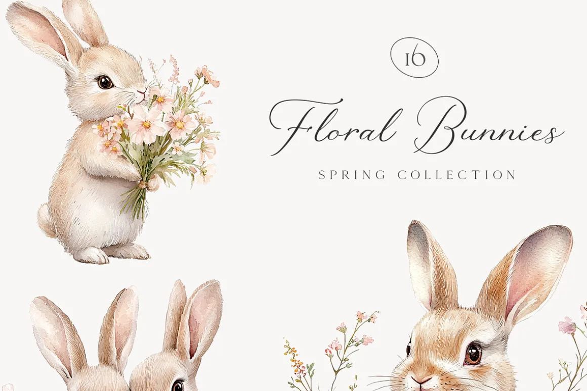 New! Spring Edition