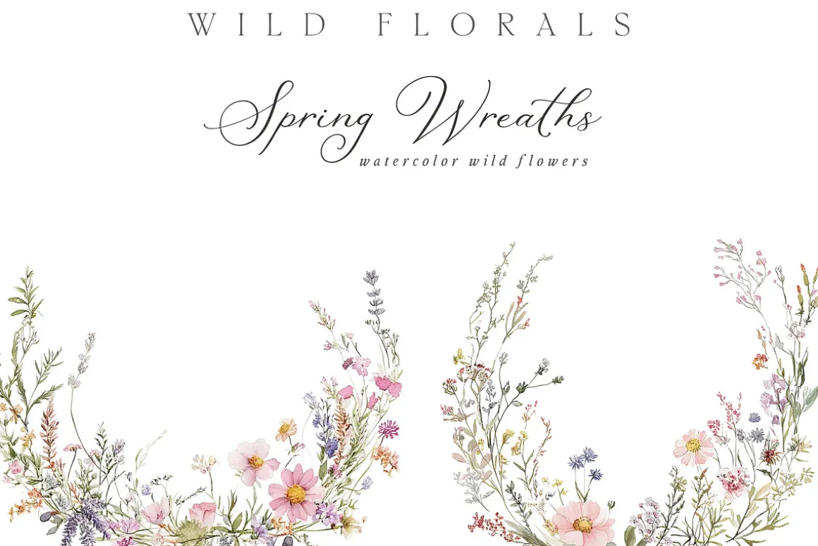New! Spring Edition