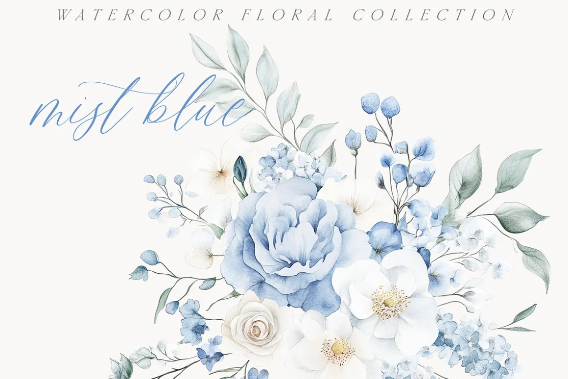 New! Spring Edition