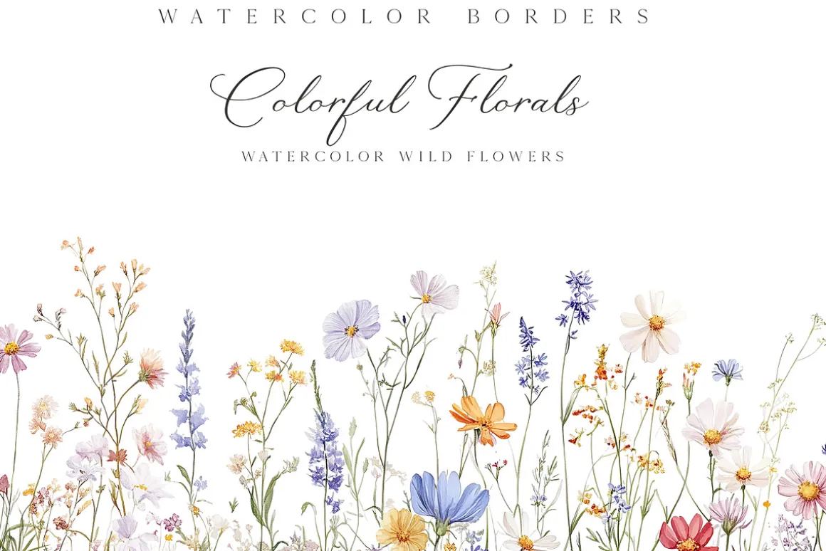 New! Spring Edition