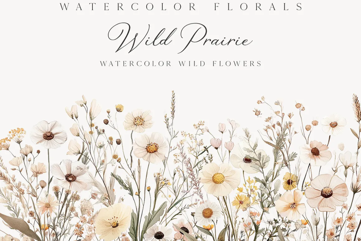 New! Spring Edition