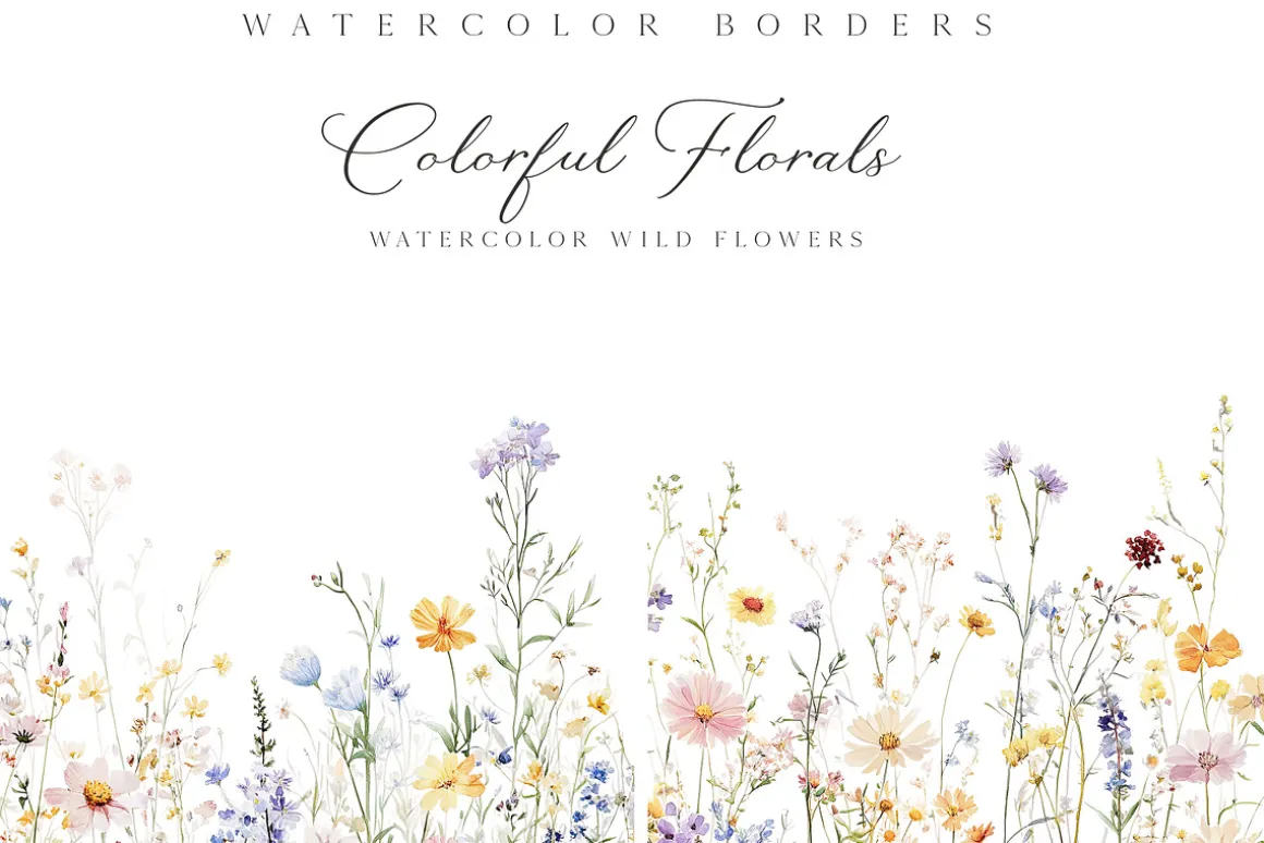 New! Spring Edition