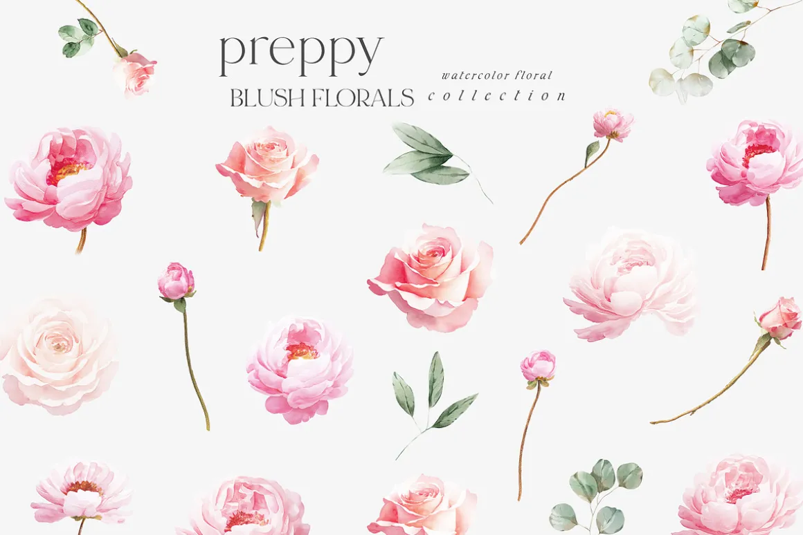 New! Spring Edition
