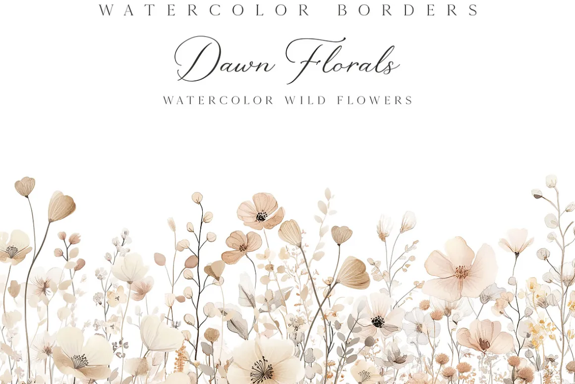 New! Spring Edition