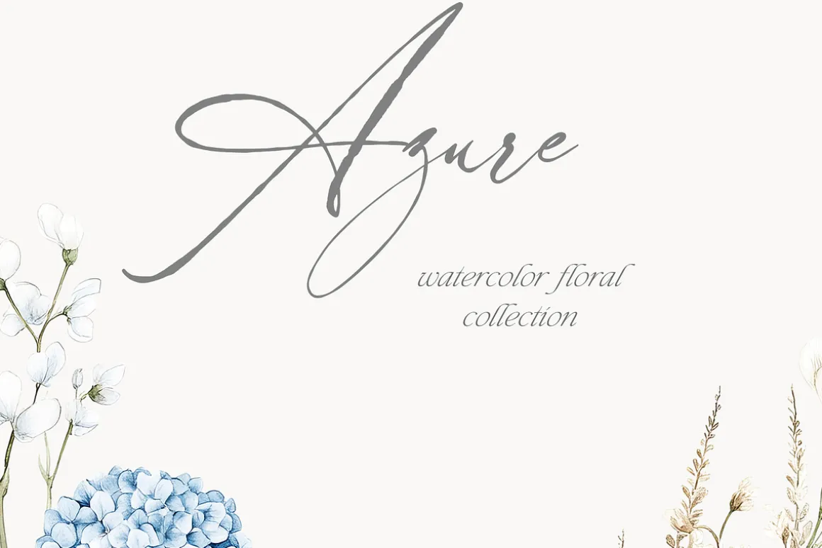 New! Spring Edition