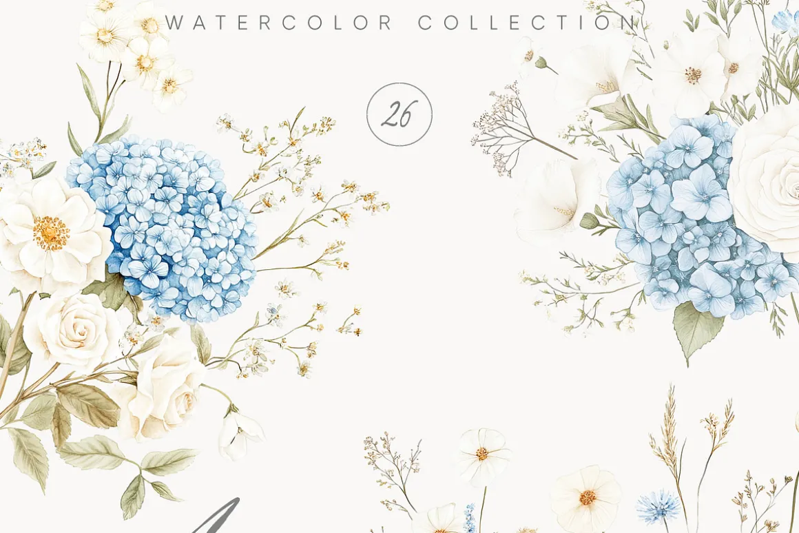 New! Spring Edition