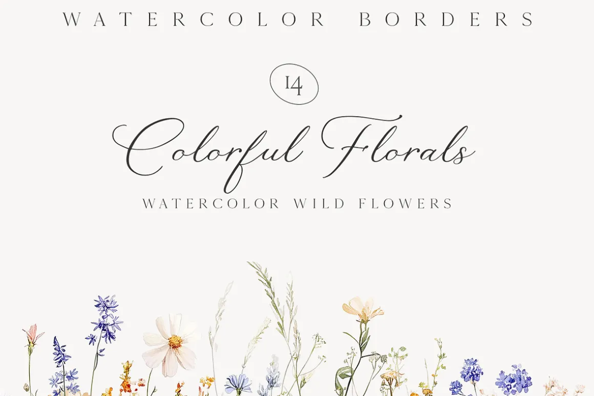 New! Spring Edition