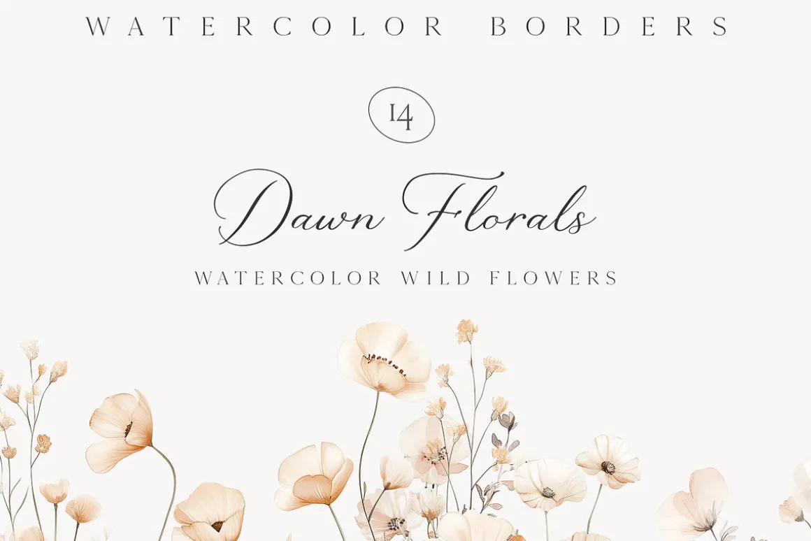 New! Spring Edition