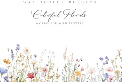 New! Spring Edition
