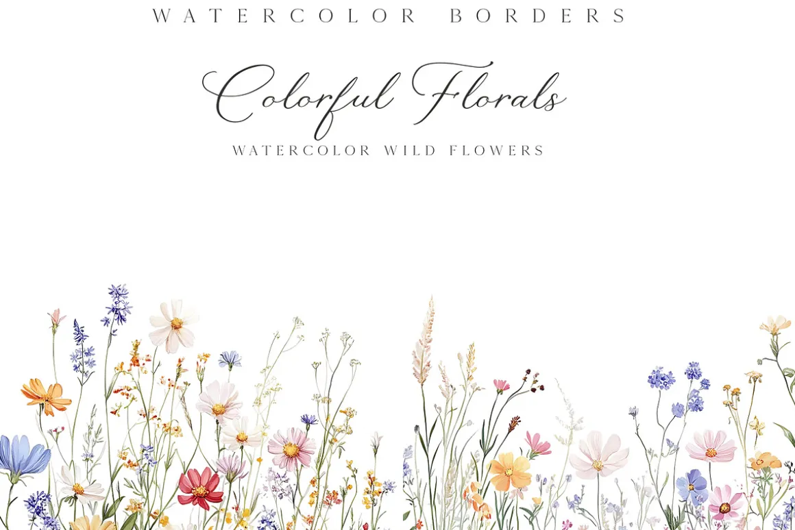 New! Spring Edition