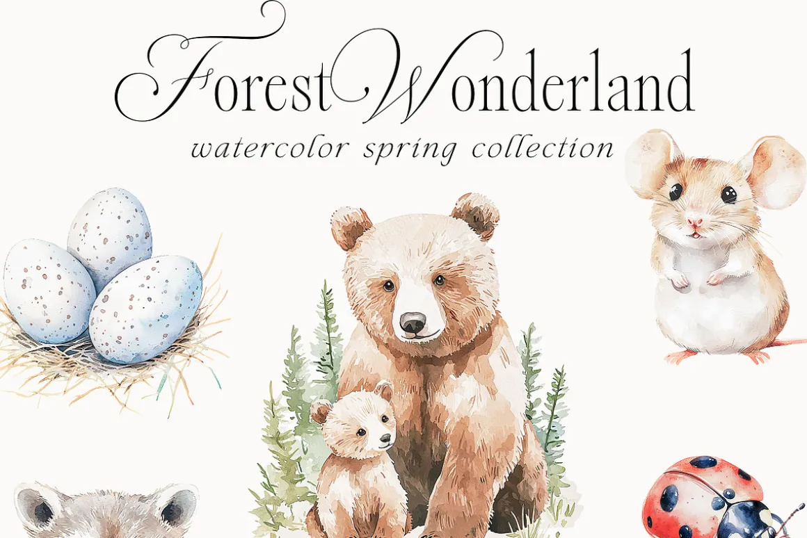 New! Spring Edition