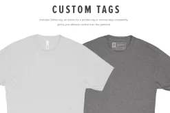 Next Level 6010 Triblend T-Shirt