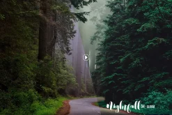 Nightfall Dark Lightroom Presets