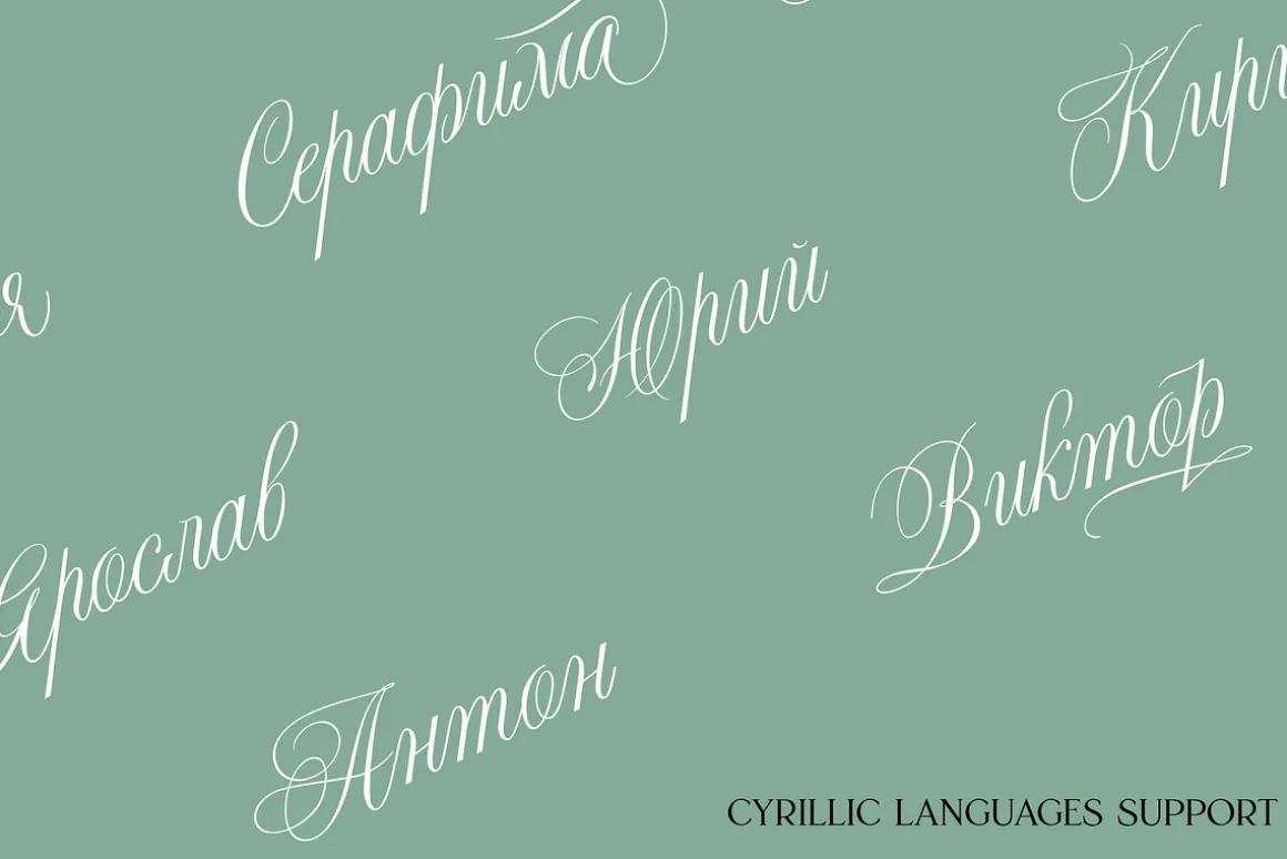 Night Train Script — Elegant Font