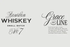 Night Train Script — Elegant Font