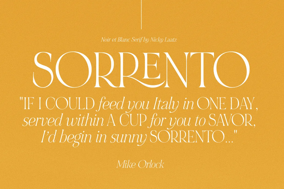 NOIR et BLANC Stylish Serif