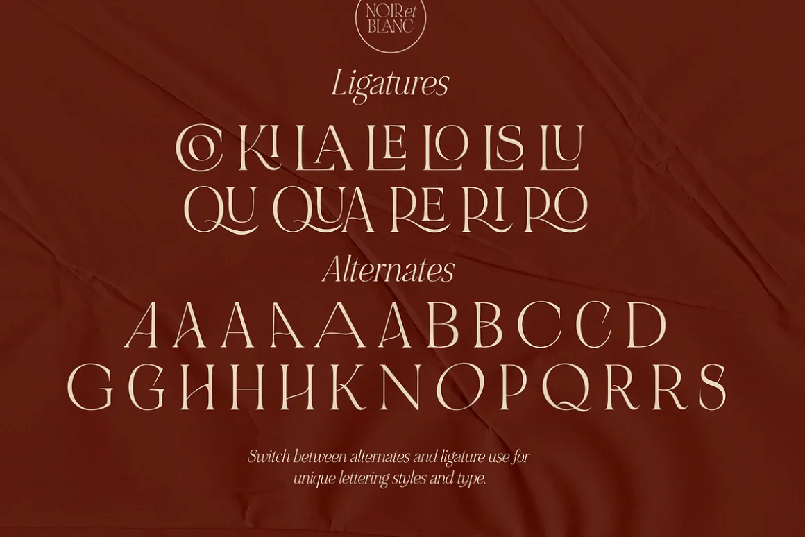 NOIR et BLANC Stylish Serif