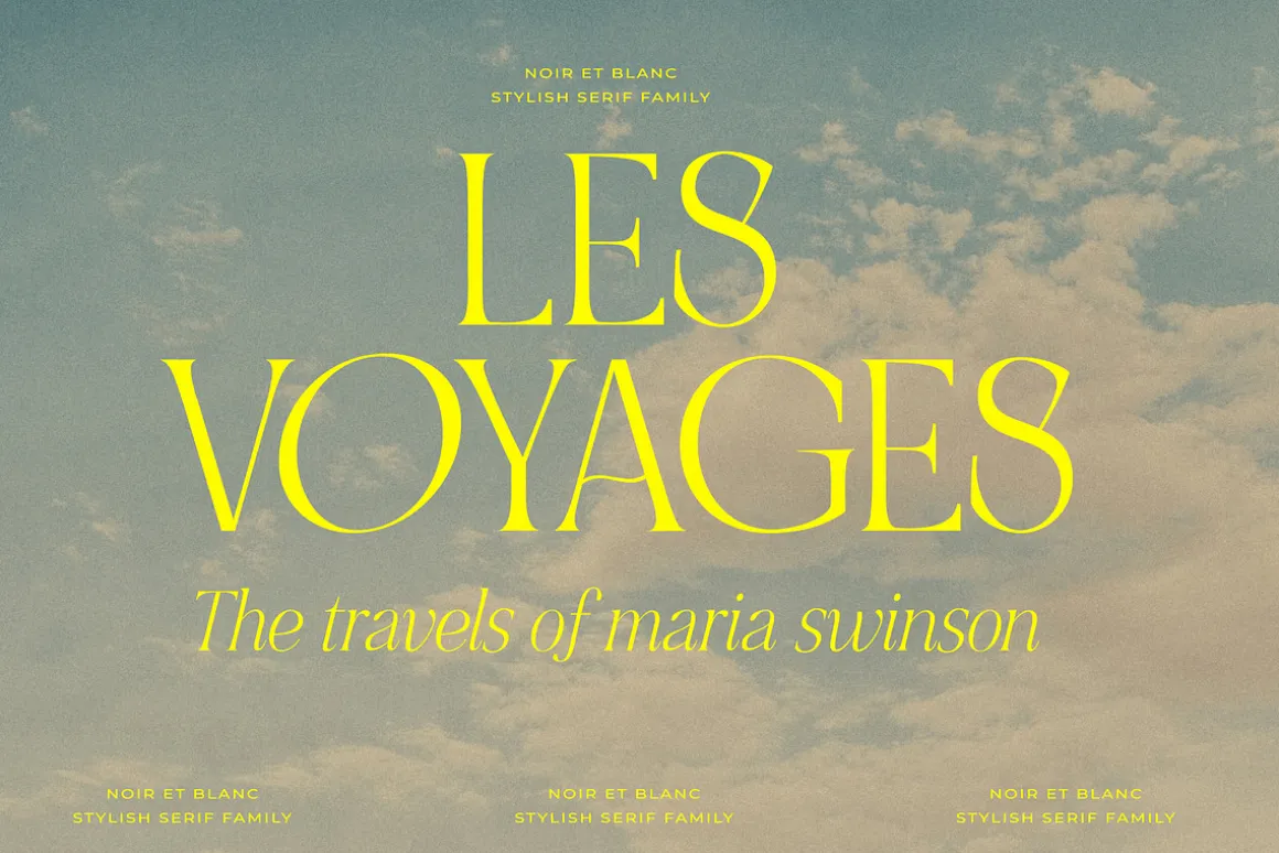 NOIR et BLANC Stylish Serif