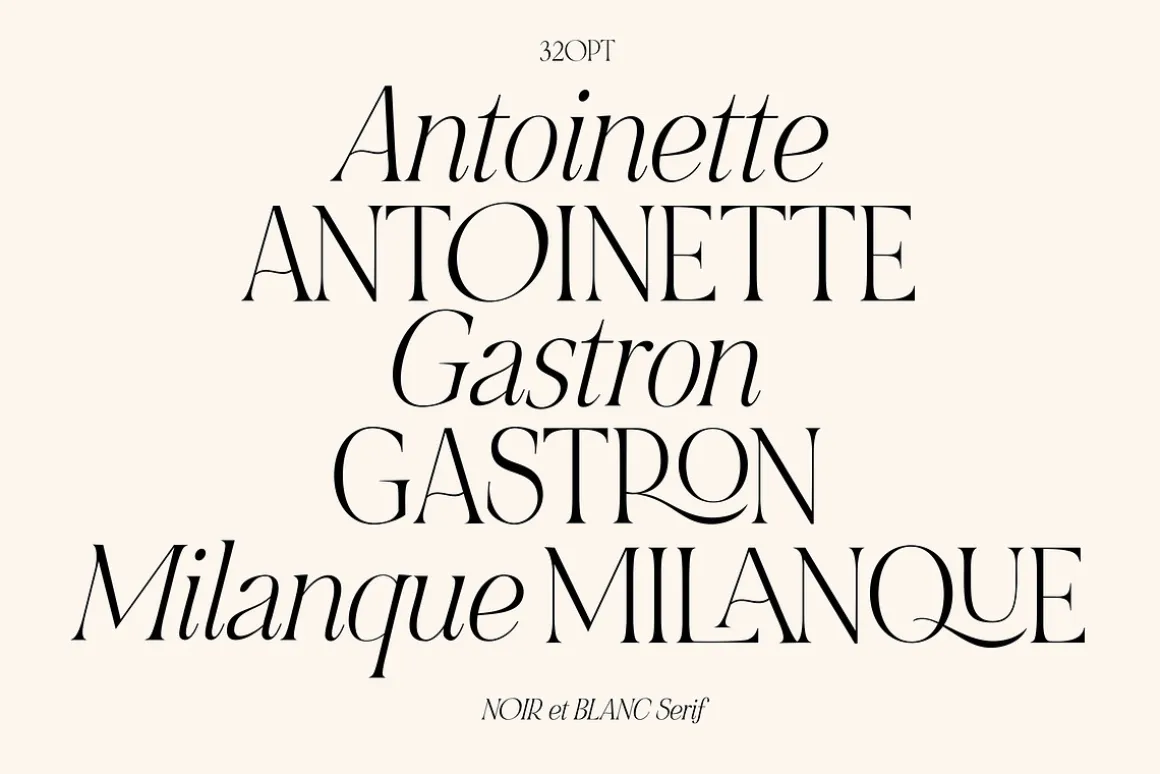 NOIR et BLANC Stylish Serif