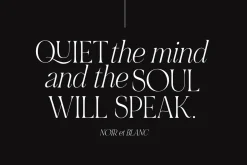 NOIR et BLANC Stylish Serif