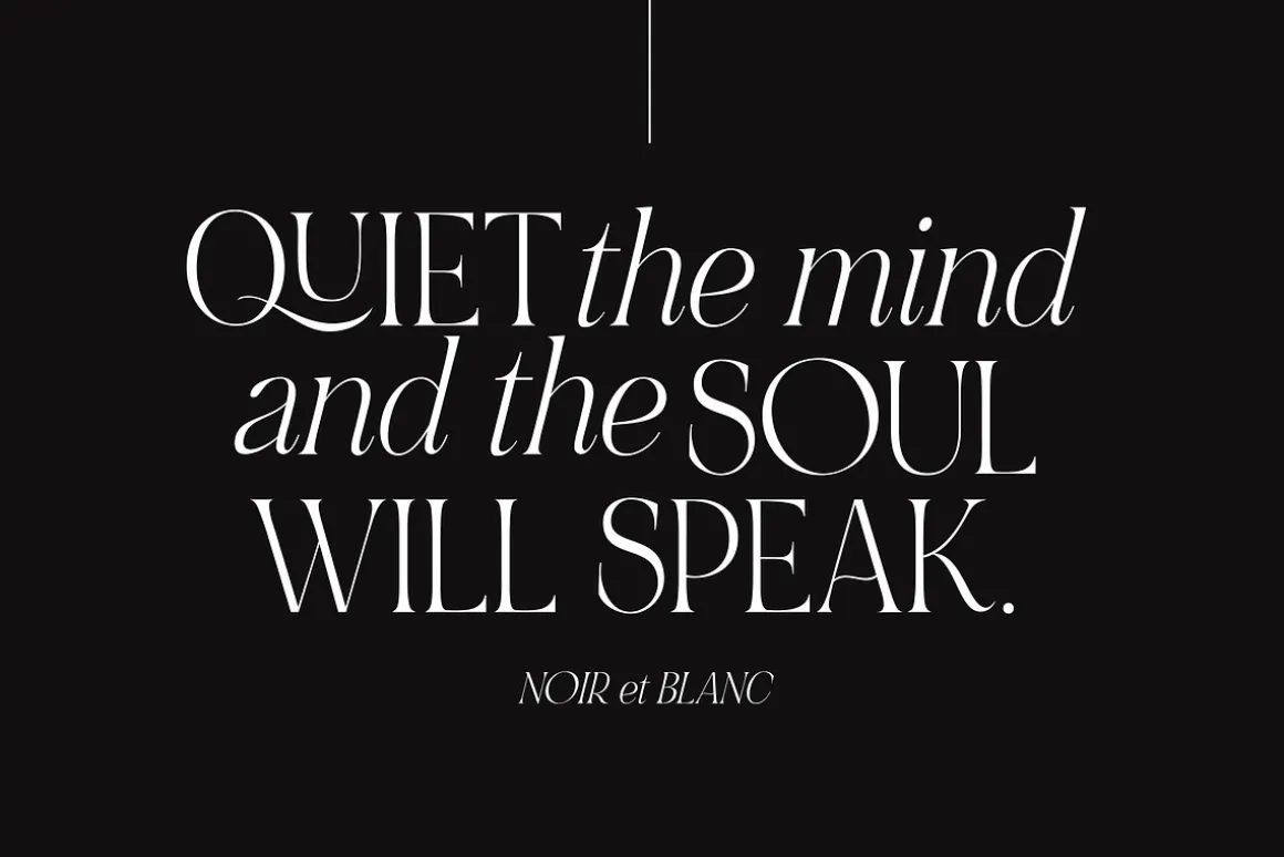 NOIR et BLANC Stylish Serif