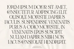 NOIR et BLANC Stylish Serif